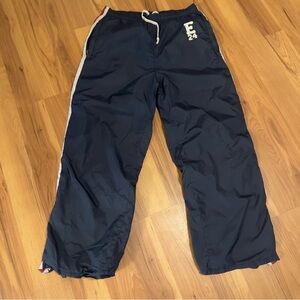 Vintage American Eagle Outfitters Mens Dark Blue Jogger Lined Pants
